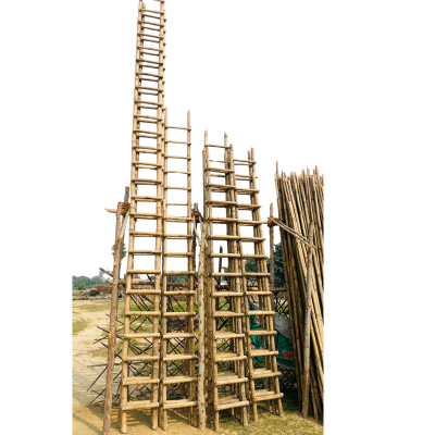 Bamboo Ladders