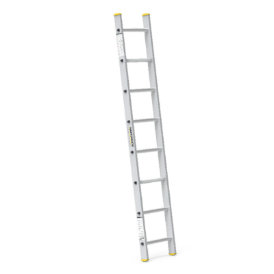 Al Straight Ladder 15-Step